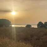 公寓 Beautiful In 托雷维耶哈
