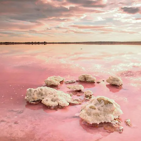 Stunning In Apartamento