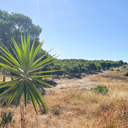 Apartamento Stunning In *