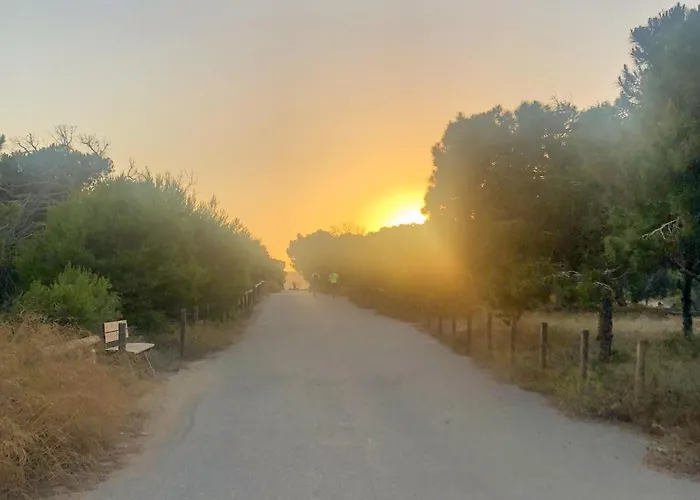 Apartment Stunning In *