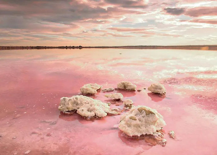 Stunning In Apartment